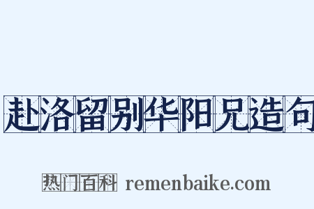 赴洛留别华阳兄造句是什么意思的图片